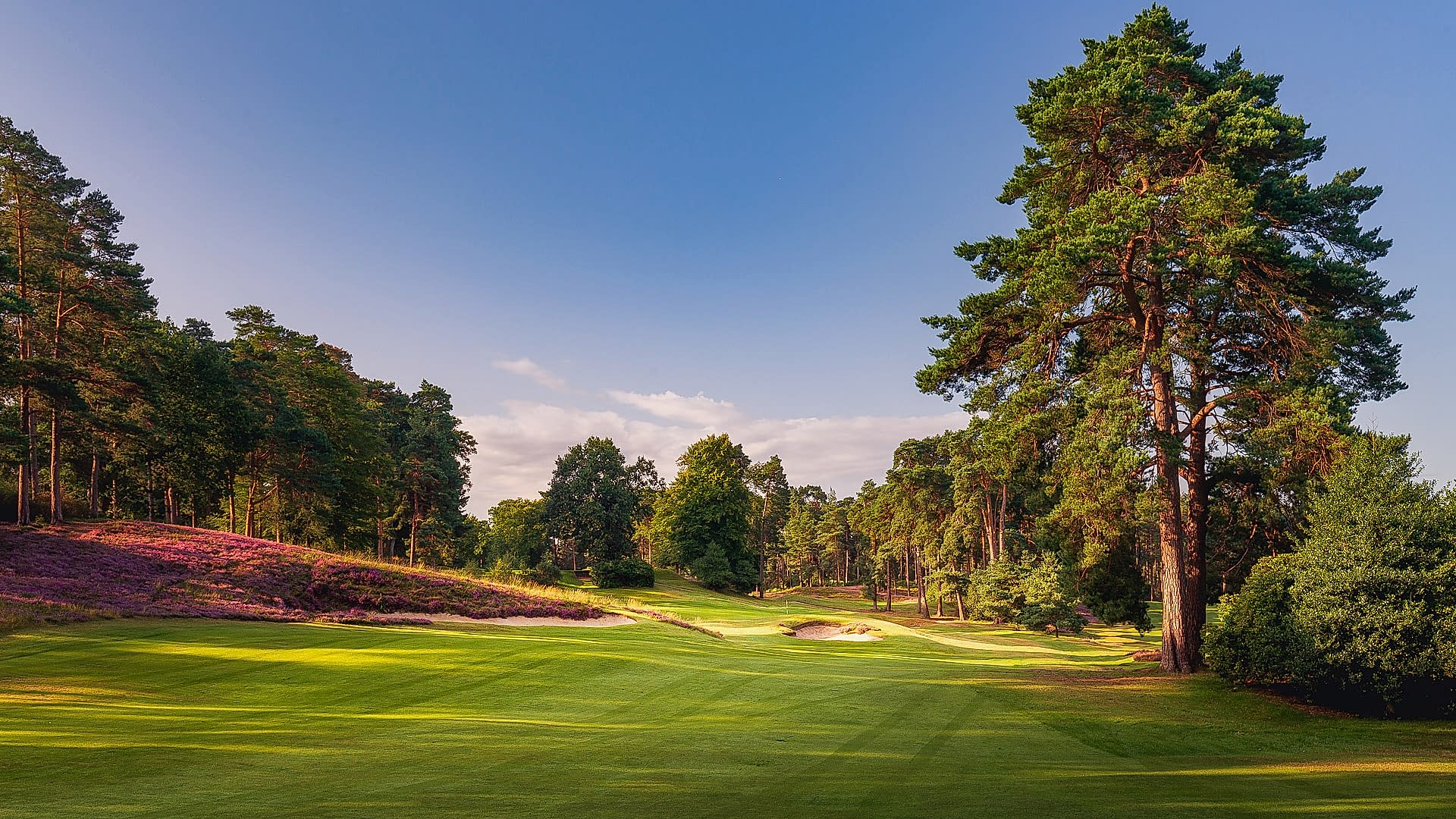 10th-Hole-St-Georges-Hill-Golf-Club-2228-Edit