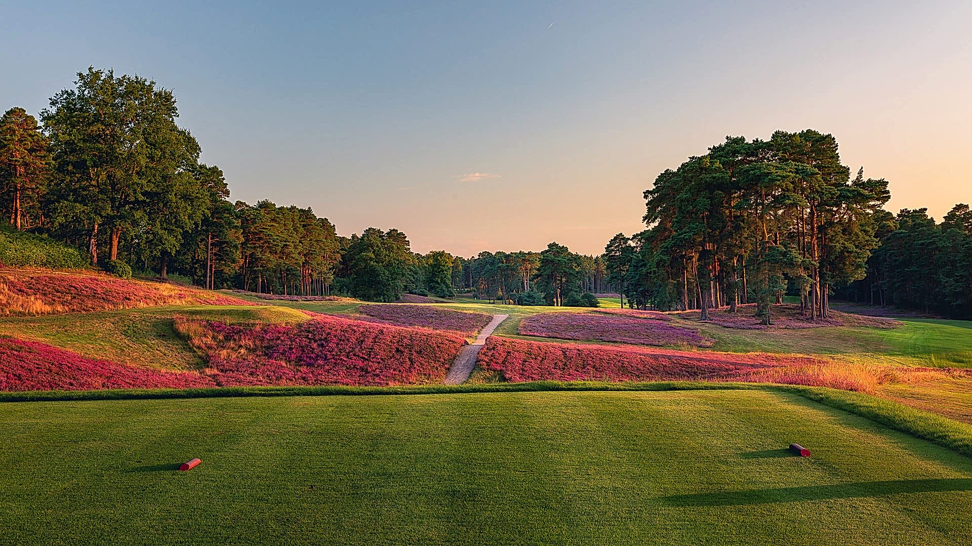 10th-Hole-St-Georges-Hill-Golf-Club-2270-Edit
