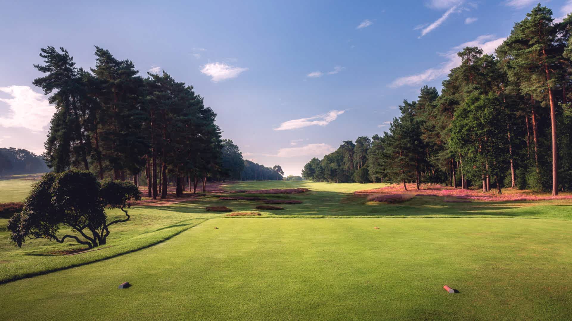 07th-Hole-St-Georges-Hill-Golf-Club-2145-Edit