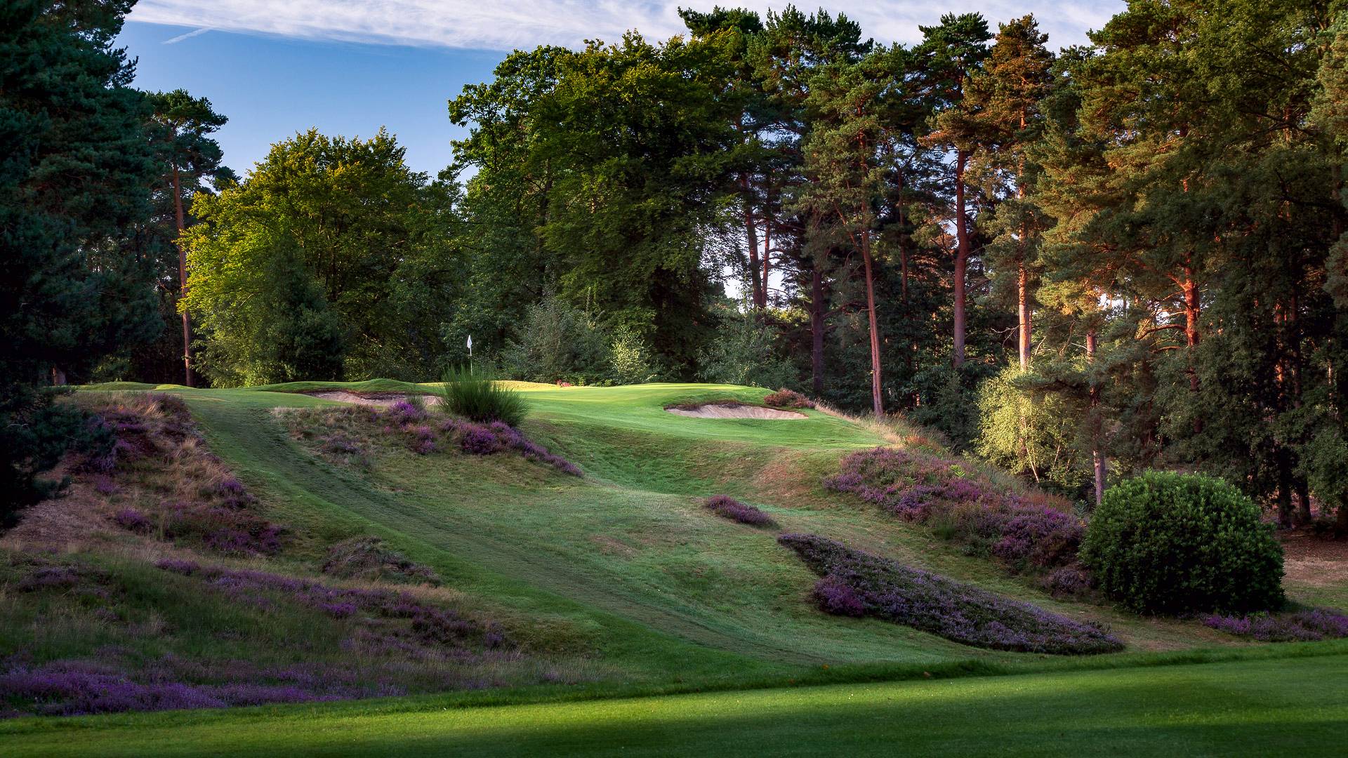 11th-Hole-St-Georges-Hill-Golf-Club-2153-Edit