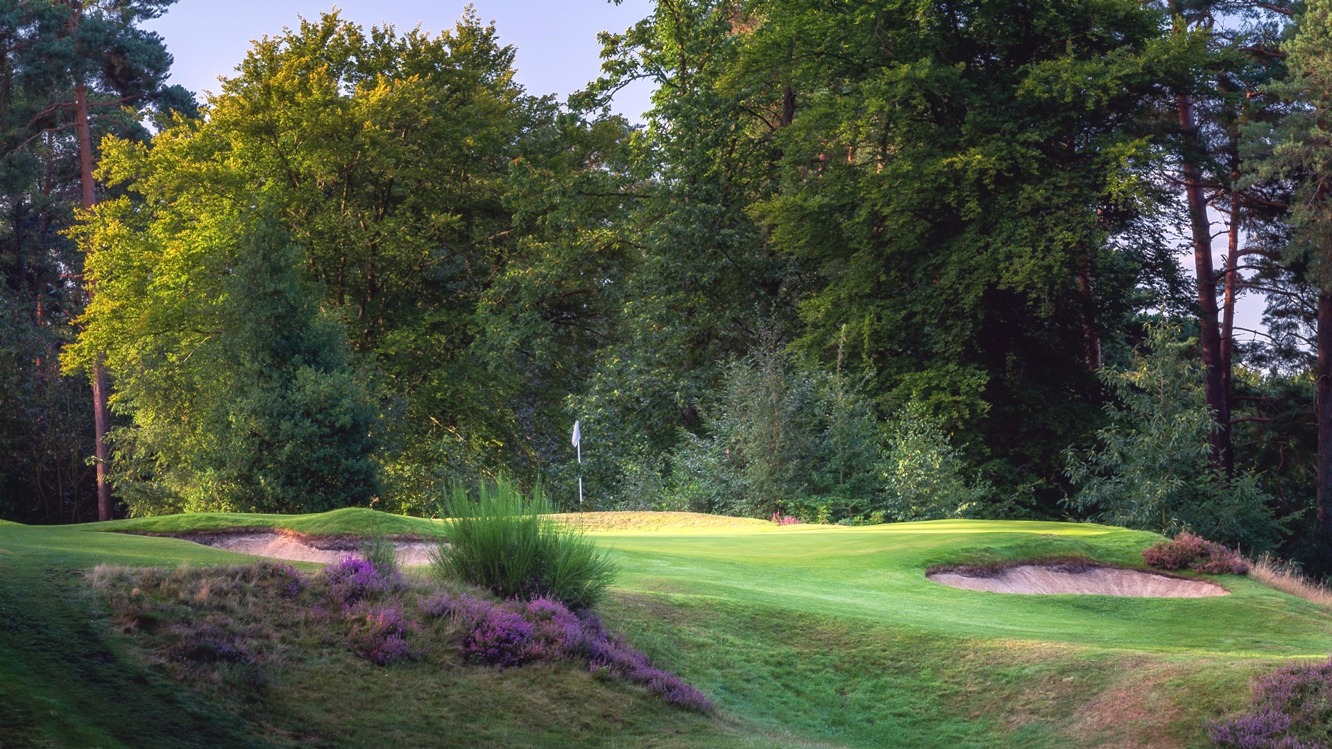 11th-Hole-St-Georges-Hill-Golf-Club-2168-Edit