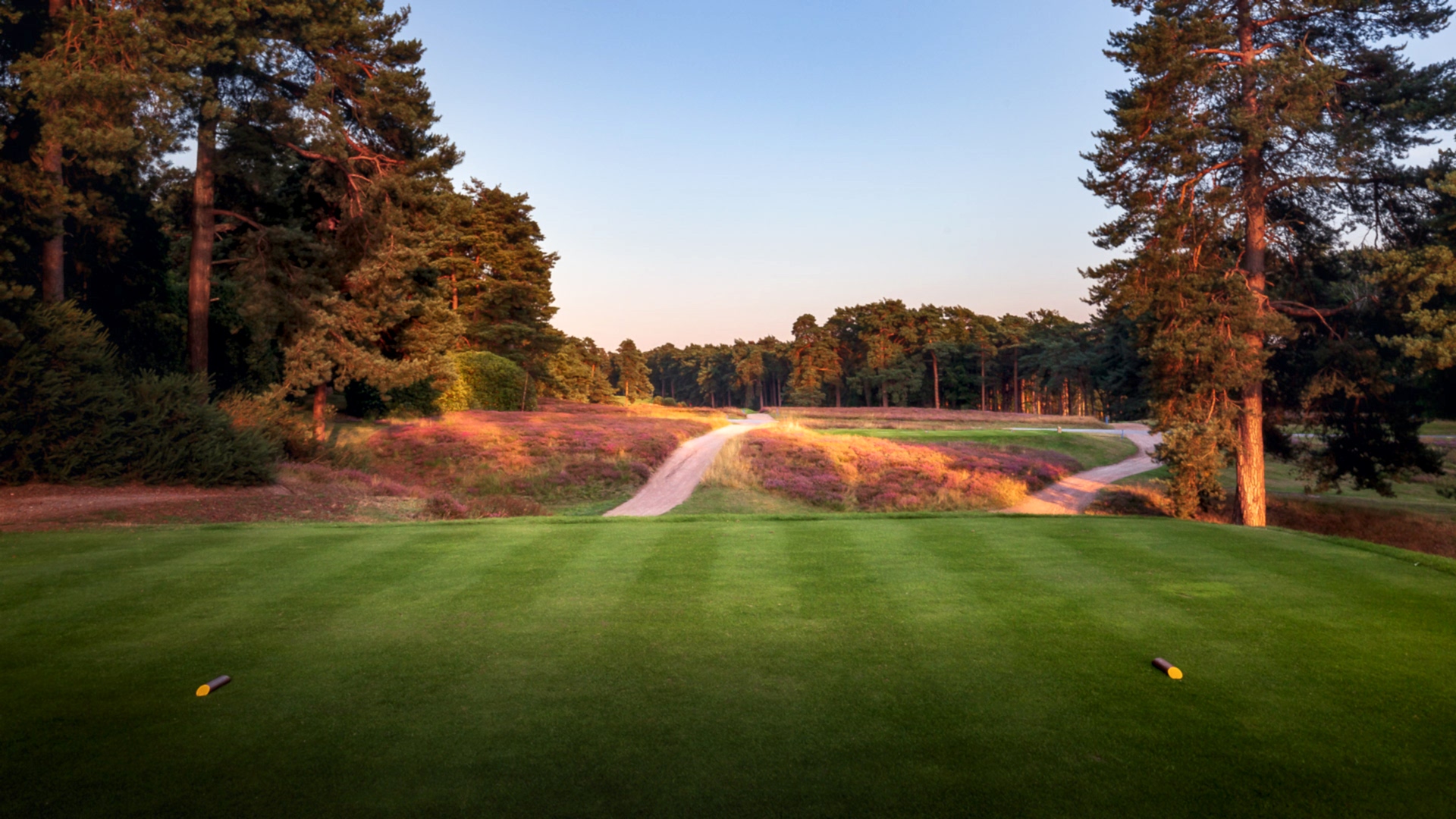 12th-Hole-St-Georges-Hill-Golf-Club-2620-Edit