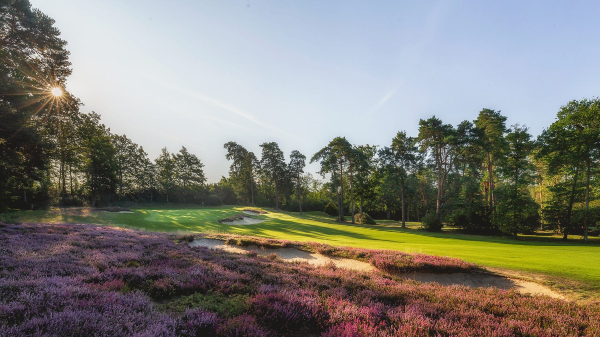 13th-Hole-St-Georges-Hill-Golf-Club-2257-Edit-2