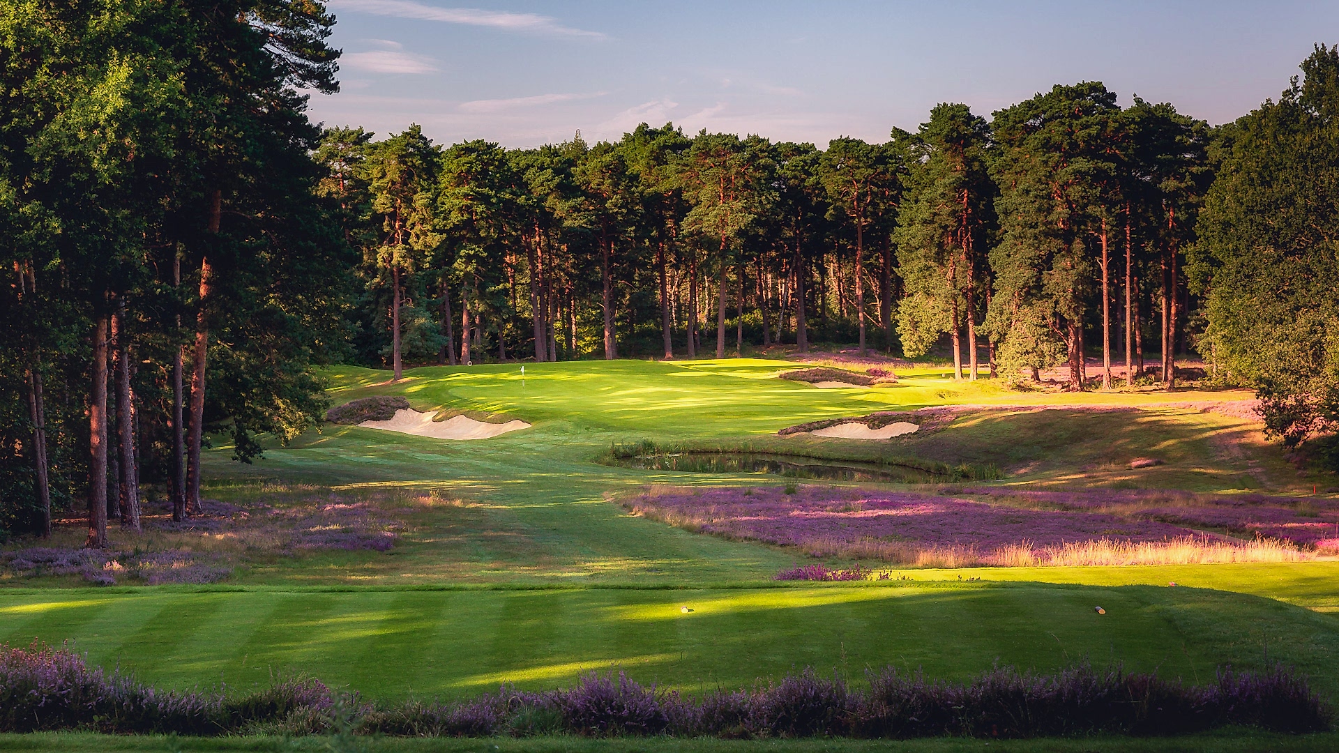 14th-Hole-St-Georges-Hill-Golf-Club-2217-Edit