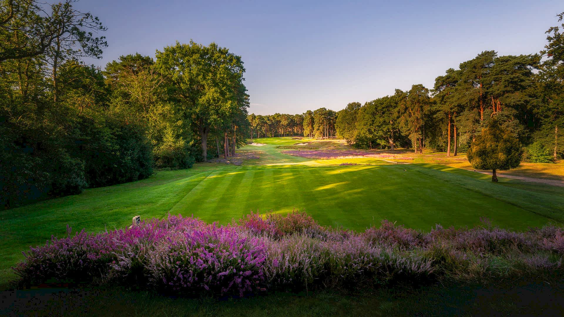 14th-Hole-St-Georges-Hill-Golf-Club-2230-Edit