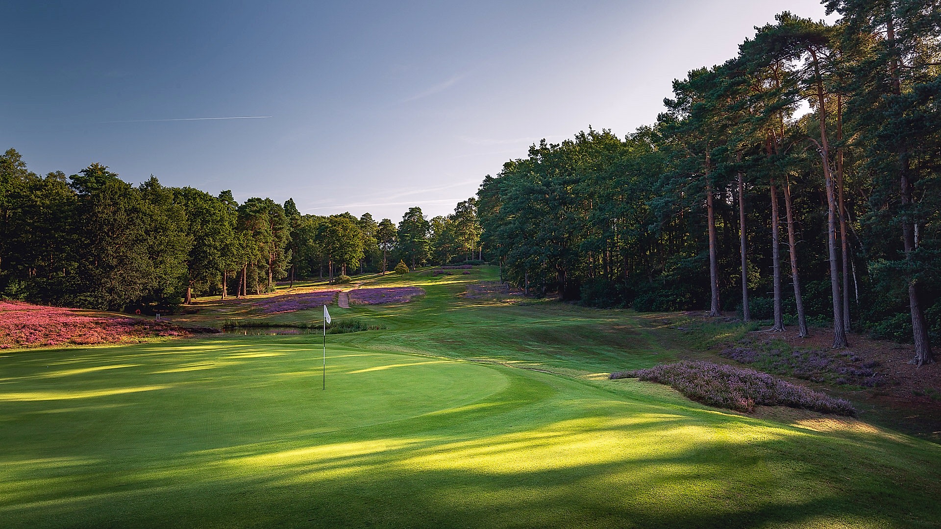 14th-Hole-St-Georges-Hill-Golf-Club-2272-Edit