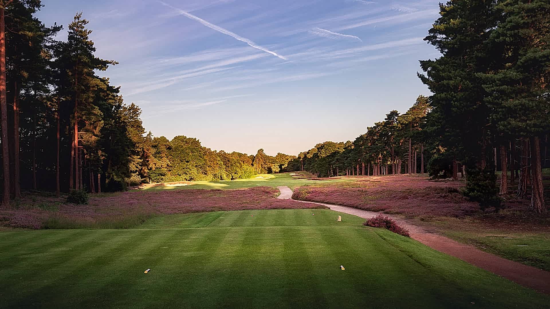 15th-Hole-St-Georges-Hill-Golf-Club-2438-Edit
