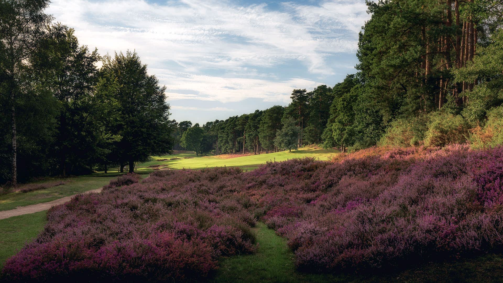 16th-Hole-St-Georges-Hill-Golf-Club-2477-Edit