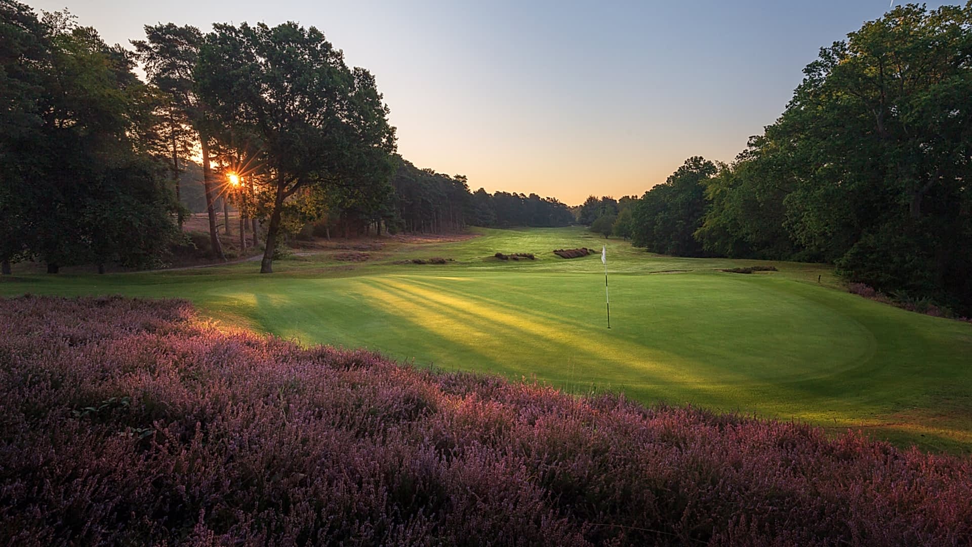 16th-Hole-St-Georges-Hill-Golf-Club-2562-Edit