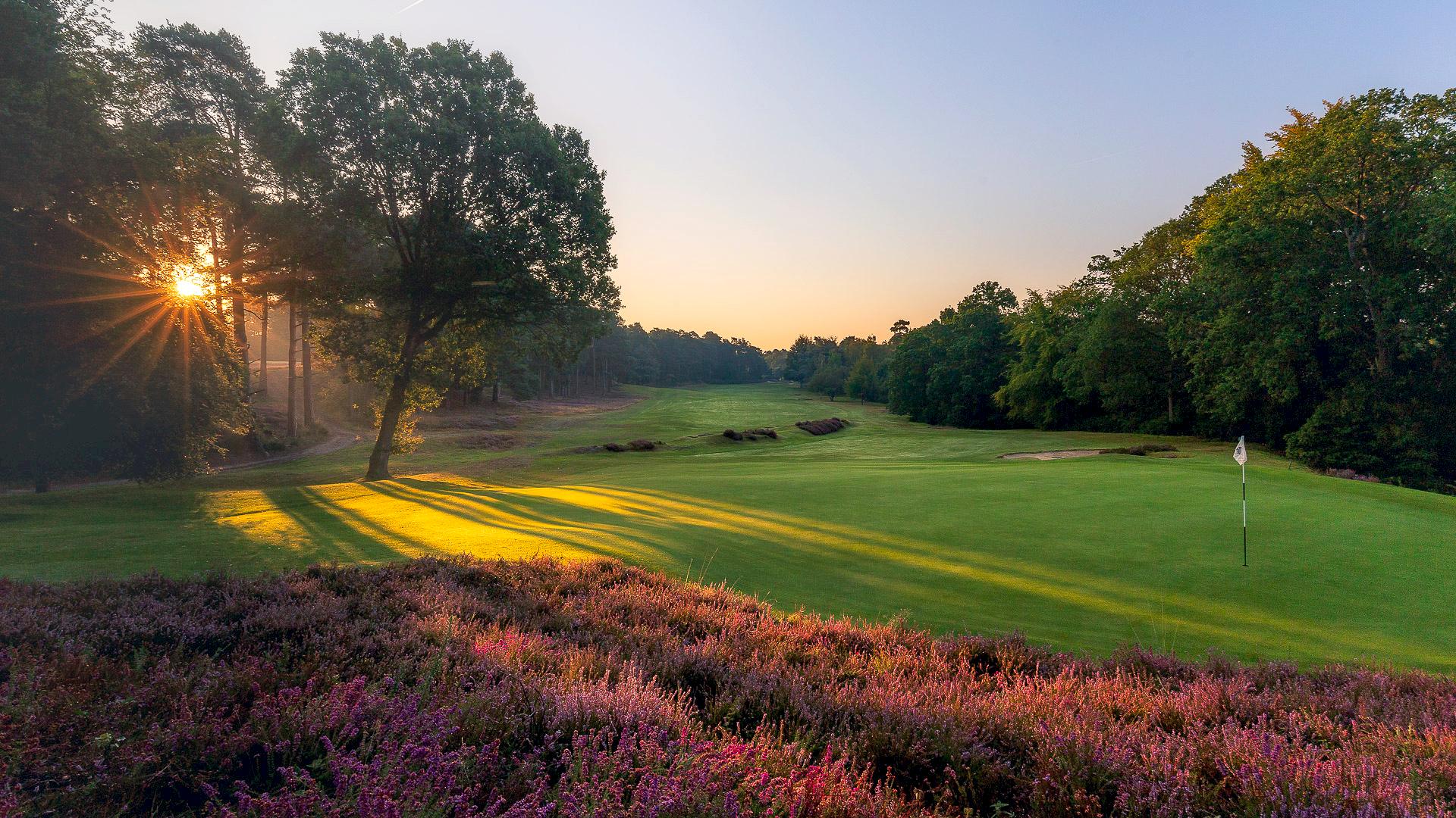 16th-Hole-St-Georges-Hill-Golf-Club-2651-Edit