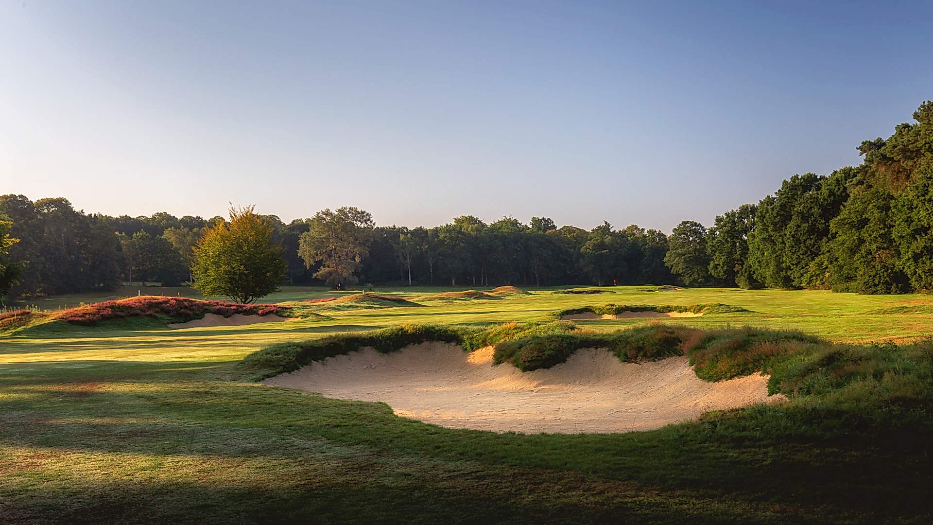 22nd-Hole-St-Georges-Hill-Golf-Club-2090-Edit
