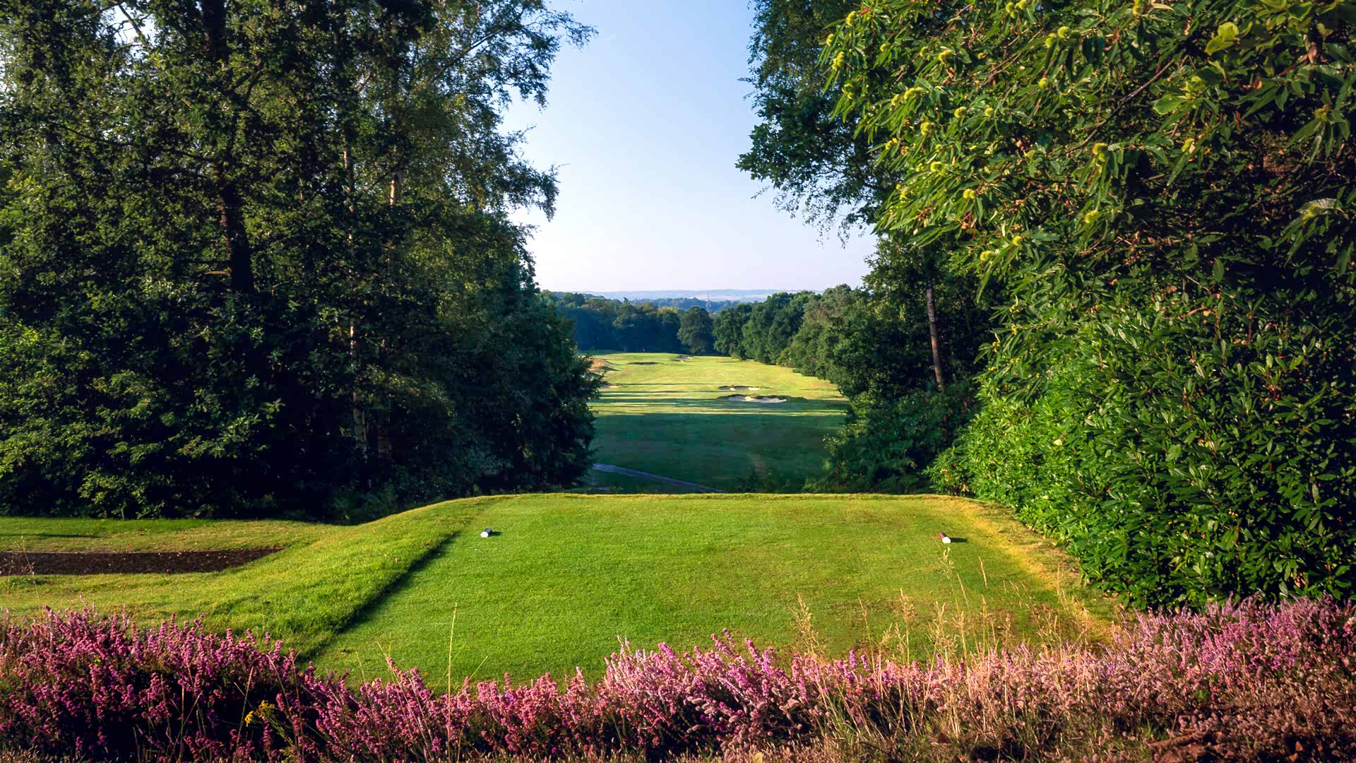 22nd-Hole-St-Georges-Hill-Golf-Club-2096-Edit