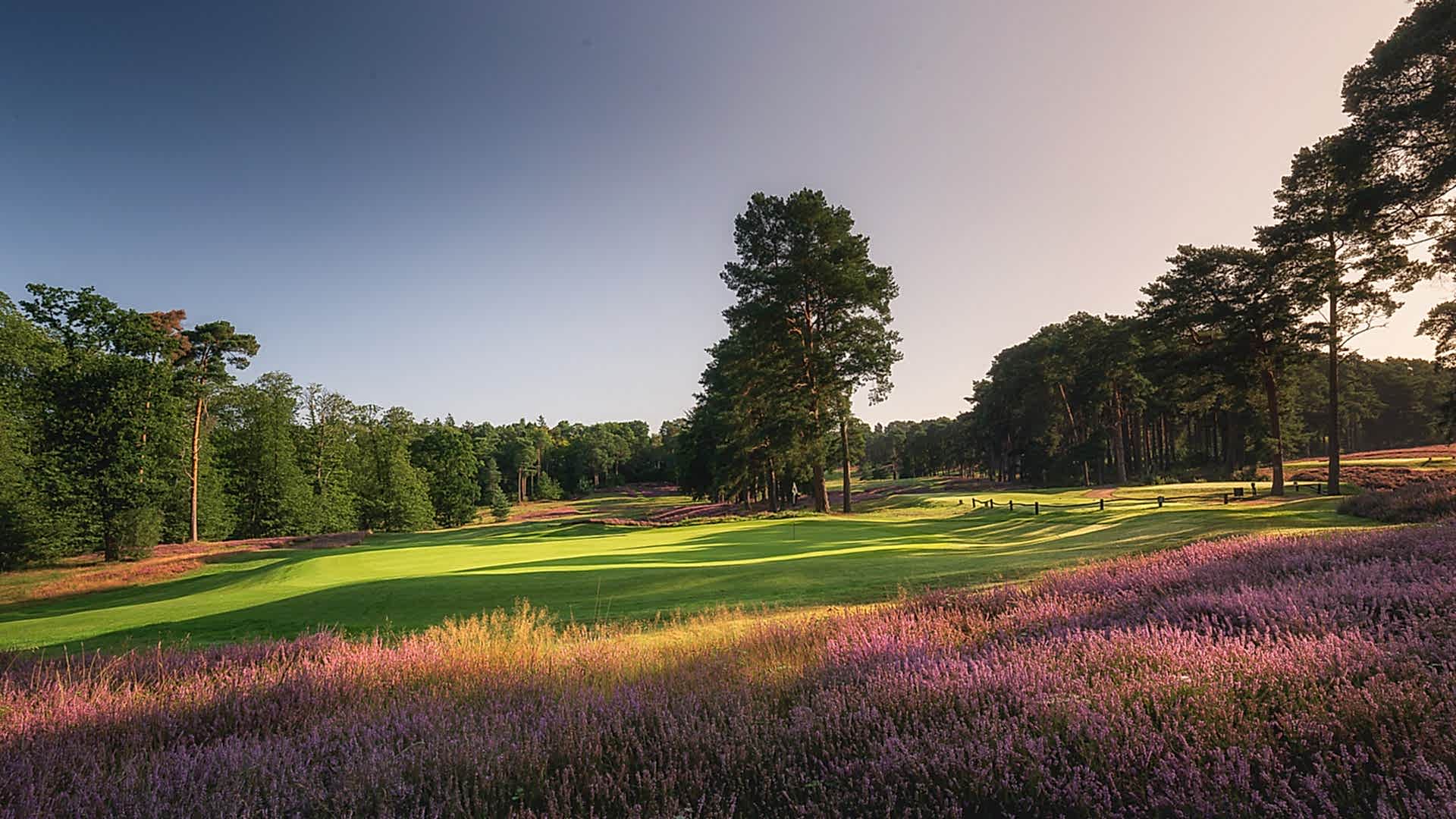 24th-Hole-St-Georges-Hill-Golf-Club-2092-Edit