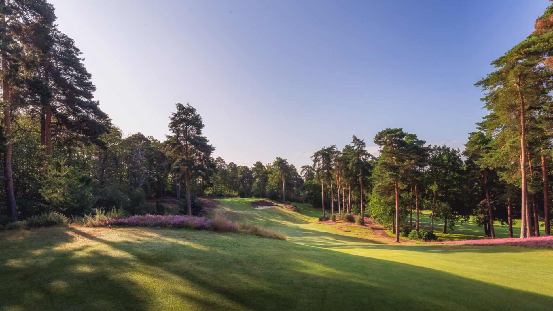 25th-Hole-St-Georges-Hill-Golf-Club-2010-Edit