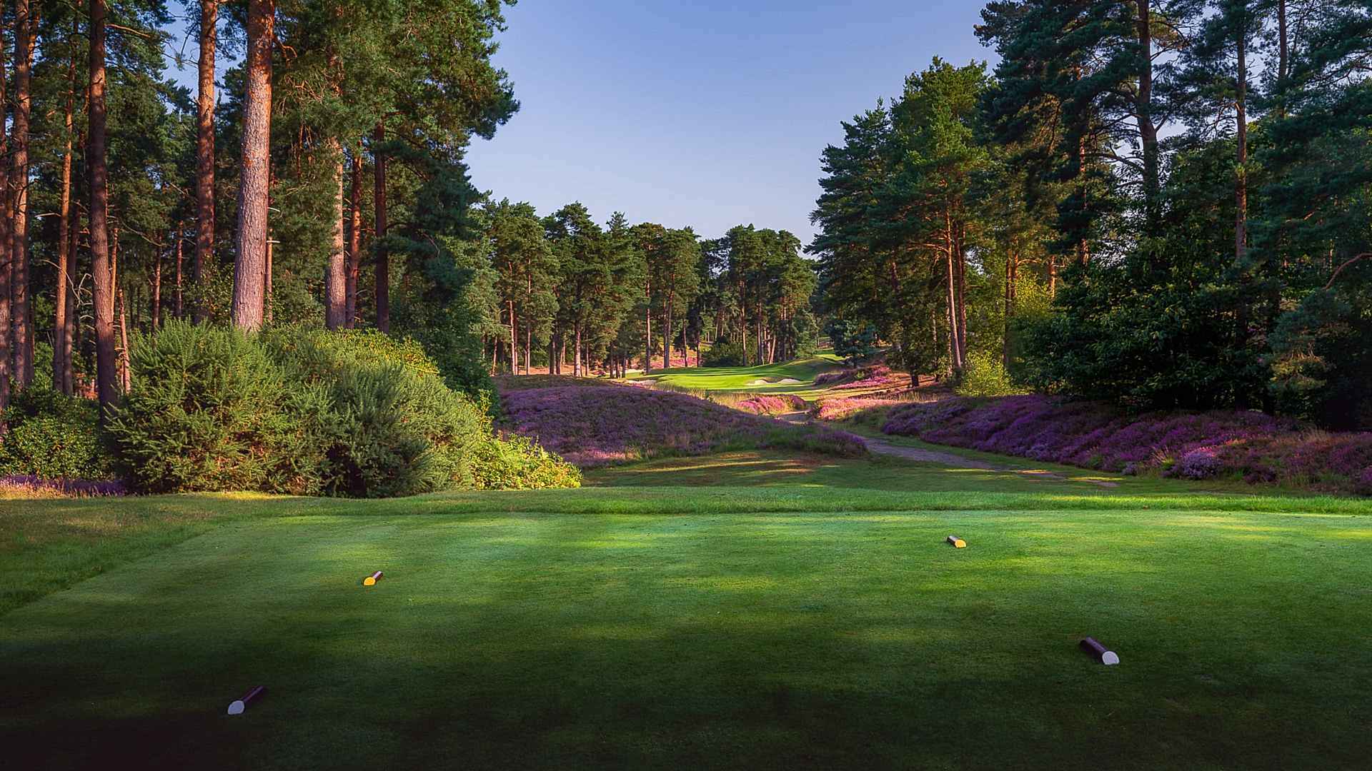 26th-Hole-St-Georges-Hill-Golf-Club-2130-Edit